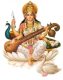 Sarasvati-AM